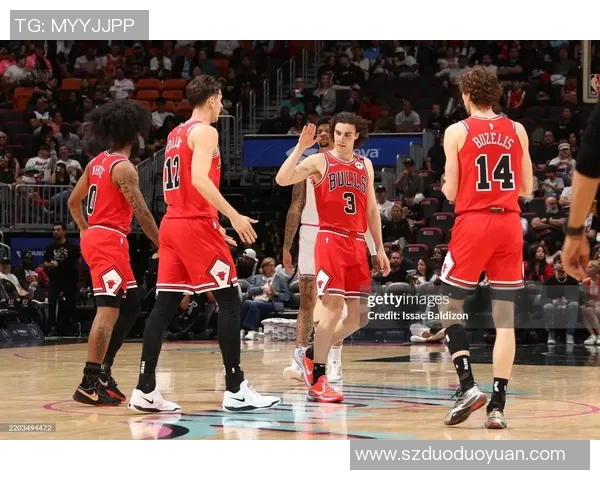 2013年热火与公牛的激烈对决回顾与分析