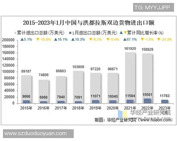智力与洪都拉斯2018年对决回顾分析及其影响探讨