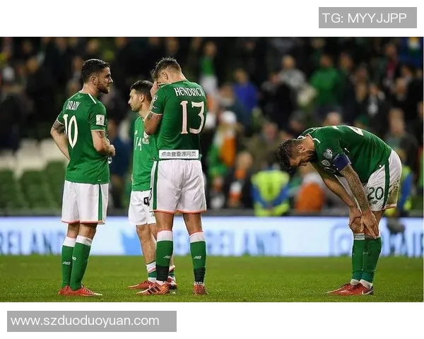 爱尔兰对阵瑞典比赛分析及大小球投注建议详解